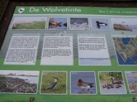 It Heidenschip - de Wolvetinte